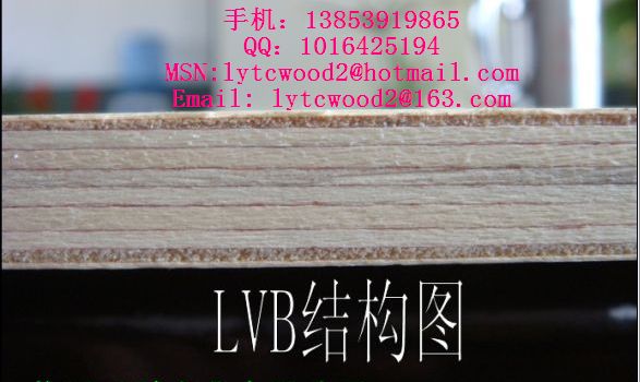供應漂白楊木LVB家具板