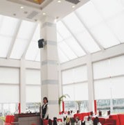 電動(dòng)天棚簾