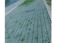 空心磚,實心磚,護坡磚,植草磚,揭陽鼎立磚廠,揭陽磚廠