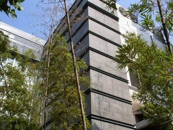 沈陽(yáng)木絲水泥板 木絲水泥板價(jià)格