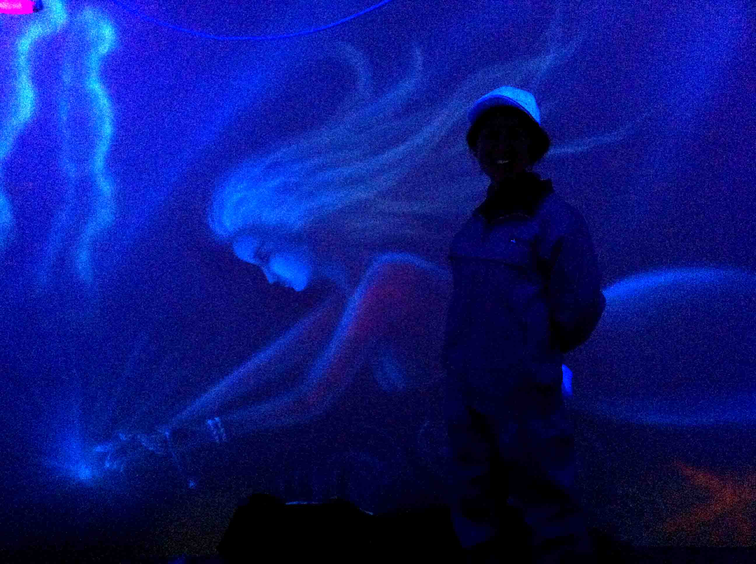 錦州美人魚海底世界696
