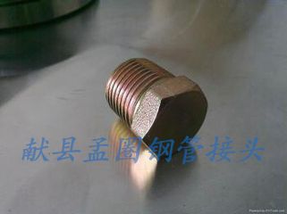 獻(xiàn)縣孟圈專用鋼管接頭