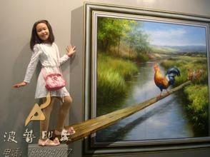 沈陽展示3D立體畫