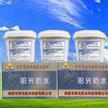 納米硅防水膠 墻磚表面防水 墻地面防水