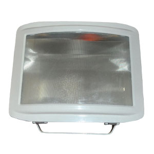 電廠專用NFE9720防眩應急通路燈