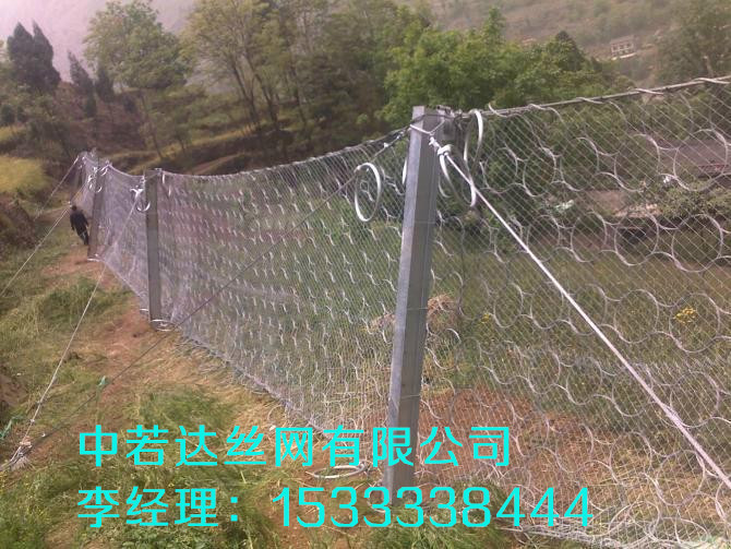 安平廠家供應(yīng)邊坡防護網(wǎng) 監(jiān)獄防護網(wǎng) 廠區(qū)隔離柵等