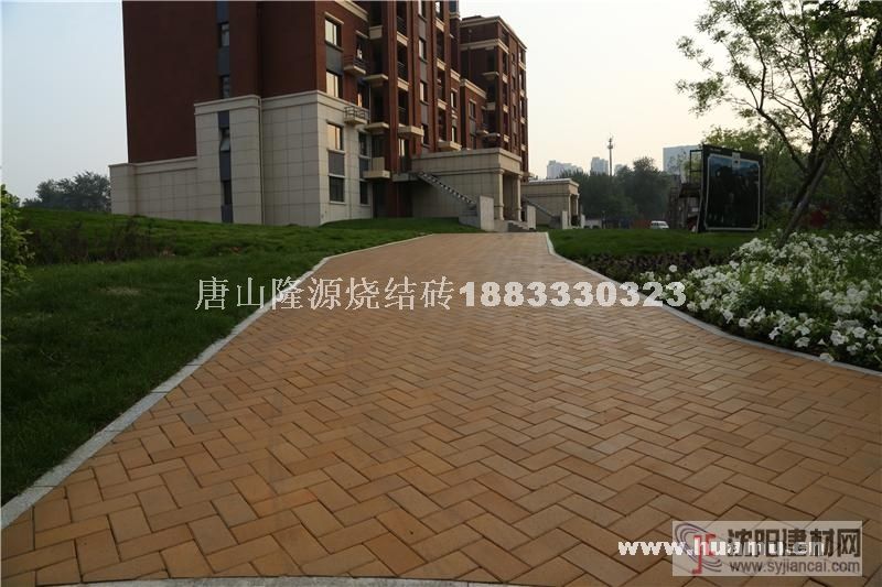 沈陽(yáng)燒結(jié)磚，粘土磚，擠出磚