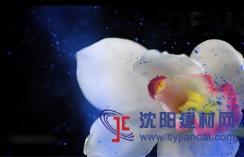 獨(dú)家報(bào)道！克洛斯威z新廣告片火熱出爐