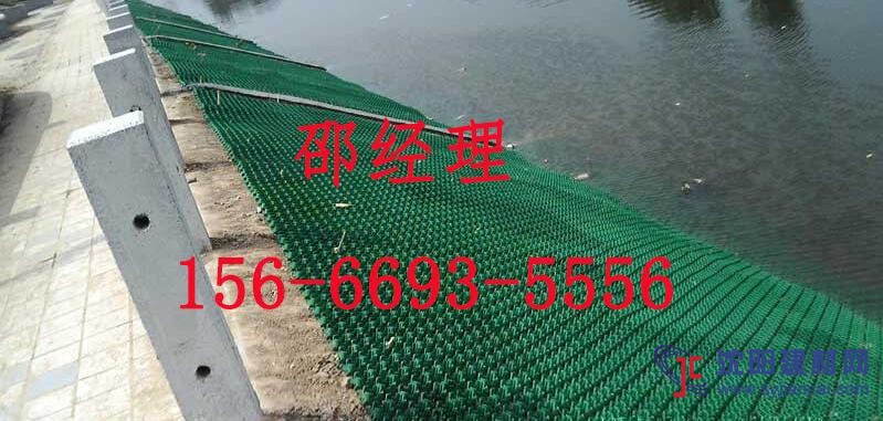合肥塑料植草格廠家