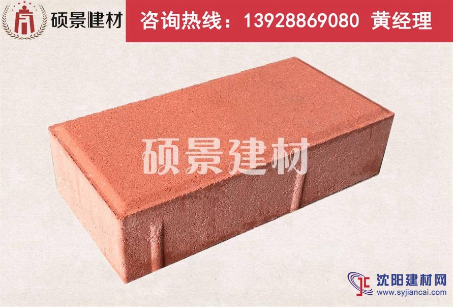 廣州碩景200×100×50/60mm建菱磚、環(huán)保磚