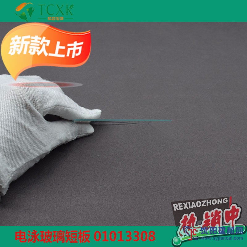 美國伯樂Bio-Rad電泳玻璃板短玻板