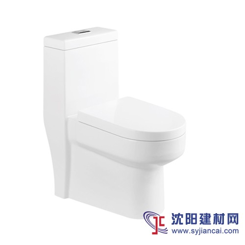 抽水馬桶，陶瓷坐便器，一體座便器，節(jié)水馬桶