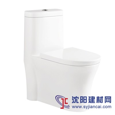 抽水馬桶，陶瓷坐便器，一體座便器，節(jié)水馬桶