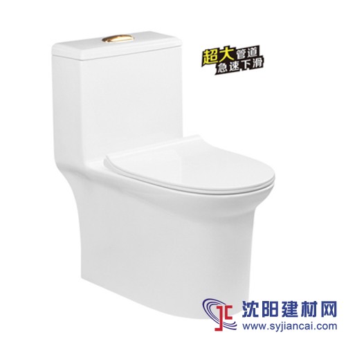 抽水馬桶，陶瓷坐便器，一體座便器，節(jié)水馬桶