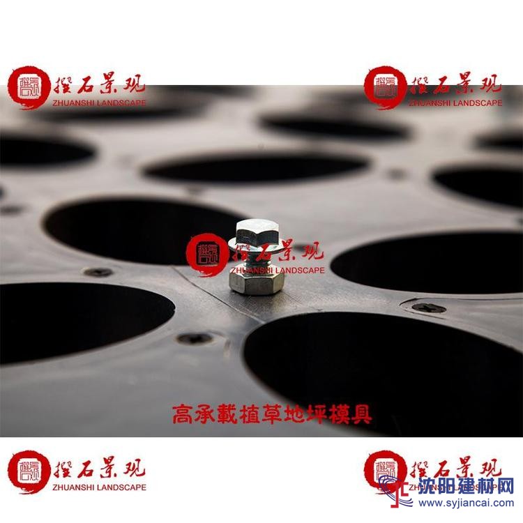 朝陽(yáng)植草地坪模具廠(chǎng)家直供 江蘇撰石景觀(guān)
